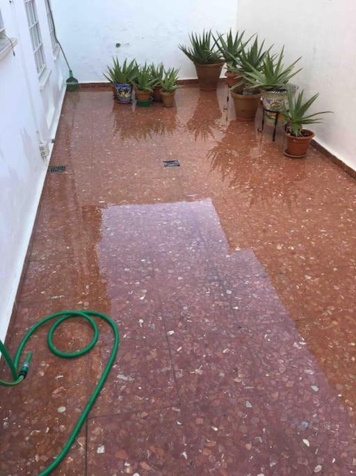 Casa Soleada En Calle Tranquila Севилья Экстерьер фото